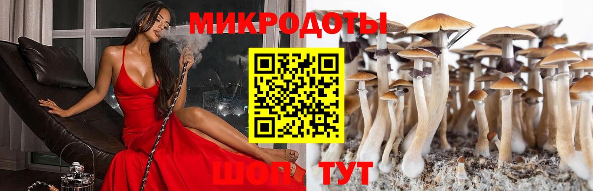 Псилоцибиновые грибы Cubensis  Вход с VPN  Галлюциногенные грибы Magic Shrooms  Асино 
